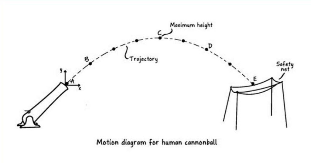 Diagram showing how a human cannonball is launched from a mechanical cannon, follows a curved flight path, and lands on a padded surface.